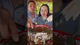ต้มส้มปลาข่อใหญ่ ใส่มดแดง