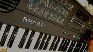 Roland E-12 (sound and styles demonstration)