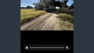 Bull hauler dollars