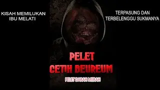 CERITA NGERI ❗️❗️ IBU MELATI YG TERPASUNG DAN TERBELENGGU SUKMANYA KARENA PELET DARAH MERAH
