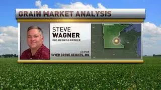 Market update - October 28, 2022 | Steve Wagner, CHS Hedging