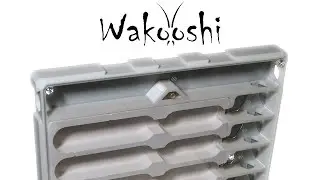 Ants Move Into There WaKooshi Setup | Camponotus Nicobarensis