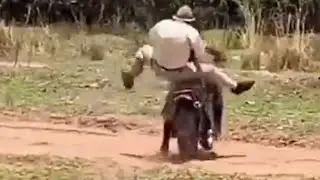 🤣😂🤣 LUCU!!!' BANGET 