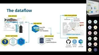 ETN: The European aquatic animal Tracking Network - Ine Pauwels