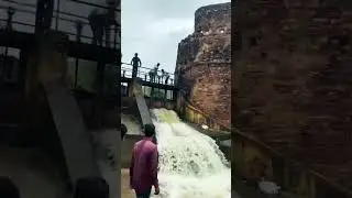 pyari Bundi 🥰🥰#rain #youtubeshorts #trending #song #waterfall