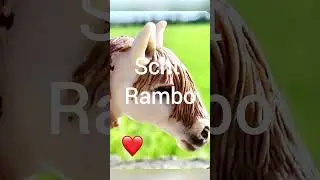 Scht rambo edit