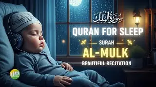 Al-Mulk Recitation for Bedtime | Shield from Hellfire, Relaxing Islamic Sleep Aid