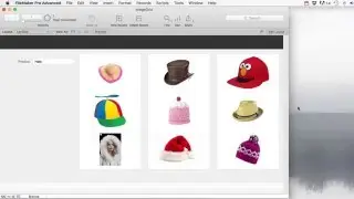 Filemaker Pro - Image Grid
