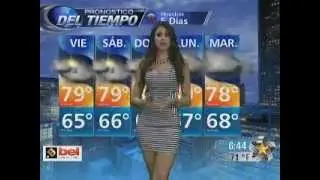 Pron&oacute;stico del Tiempo Telediario Houston-Erika Edma.  03/15/2012.