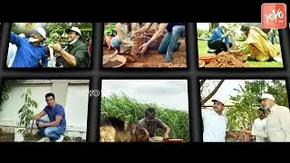 Green India Challenge Successfully Completed 4 Years | MP Santhosh Kumar | YOYO TV Malayalam