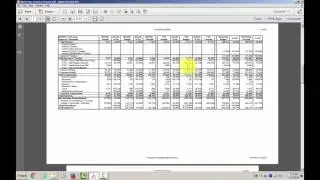 Level 3 Variance Report Overview