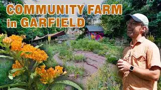 Garfield Community Farm | Pittsburgh Urban Farm Flourishes with Permaculture Strategies