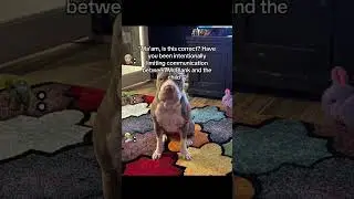 Фэй и Родни часть 20