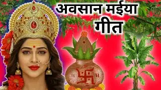 #न्यू #अवसानीमईयाकागीत🌺Avsan Mata Ka Geet| अवसान मईया गीत| 🌺Avsan Maiya Ke Geet| #दुर्दुरिया 
