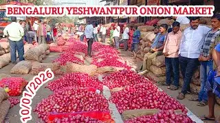 Onion Market Rate Down Today | Wholesale NewsToday&rsquo;s Onion Price || Bengaluru Yashwantpur Market ||