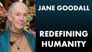 Jane Goodall&rsquo;s Legacy | How She Changed the Way We See Ourselves