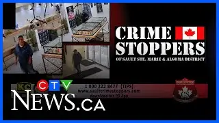 Surveillance video, images released in Sault wallet theft, fraud case
