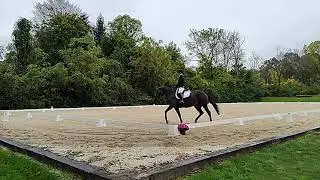 Jaguar Rosette WG Radnor Hunt HT Novice B 26.1