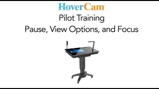 Pilot Training: Pause, View Options, and Focus