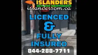 Islanders
