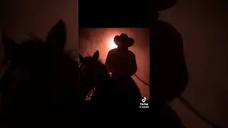 Western Gothic