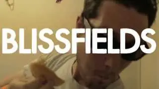 BASTILLE // Blissfields