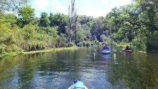 Ichetucknee Paddle