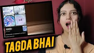 SOS - Kavi Chahte Hai Diss Track Reaction|  Pooja Chandola