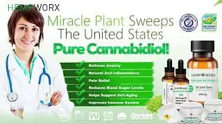 Hempworx CBD Oil What Doctors Are Saying About Cannabis
