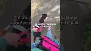 #assistancedog #guidedog #blind #question