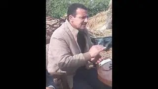 أسرار زراعة بنجر السكر الجزء الثاني