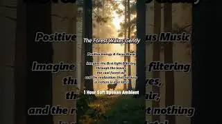 The forest wakes gently | soft spoken ambient