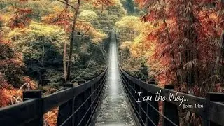 The Pilgrim's Journey
