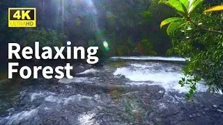 🎹 4K Ultra HD Water Flow for Deep Sleep 🌿Relaxing Forest River Sounds [Meditation & Stress Relief]