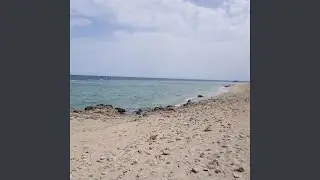Desert Reggae