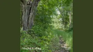 Mindful Walking