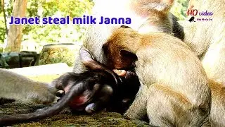 O.M.G ! Janet steal milk baby Janna | Baby Janna try block her sister Janet