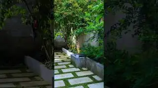 kamburupitiya maintenance #landscaping #matara #gardening #rgs #ranasinghe_garden_service