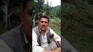 Naresh Kashyap g's Dormex feedback.
