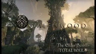 Medieval 2: Total War-  мод The Elder Scrolls: Total War 2.0.2- Королевство Валенвуд. Знакомство.