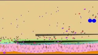 OXYGEN INTERVIEW WITH MUCOCILIARY RESPONSE