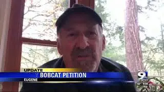 Oregon House to hold meeting after bobcat kitten euthanized