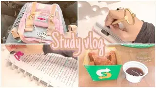 STUDY VLOG #11 TARDE + NOITE DE ESTUDOS ( TAMBÉM FUI AO SUBWAY 😋)