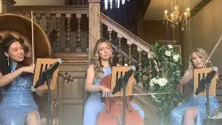 Aria Strings | String Trio | Wedding Musicians | East Midlands Wedding | Watermelon Sugar Strings Co