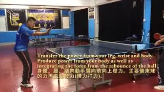 前國家乒乓省隊 楊光教練 反手快撕詳解  Close-to-table fast backhand loop tutorial by Coach Yang Guang