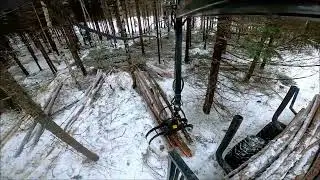 Lastar massaved med traktor och huggarvagn efter sk&ouml;rdare i f&ouml;rstagallring.