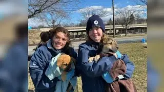 Springfield Americorps volunteer sent home after agency faces funding cuts