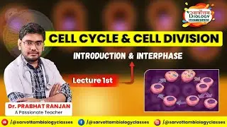 CELL CYCLE AND CELL DIVISION | L-1 | INTRODUCTION & INTERPHASE | NEET | BOARD