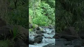 Relaxing Water Sound for Stress Relief#nature#sleeping#water#realnature #waterfall#naturalwatersound