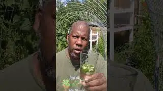 Don't Drink Okra Water! Do This Instead!!